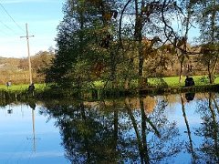 Ein Tag am Vereinsweiher